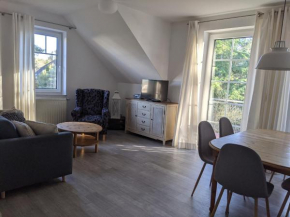 Kiefernblick in Karlshagen